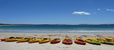 Jervis Bay Kayak & Paddlesports - Accommodation Yamba 5