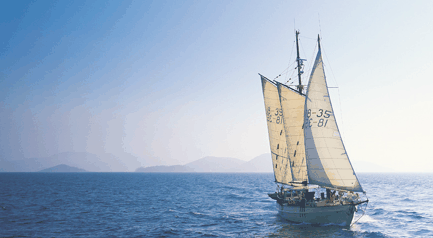 Tallship Adventures - Accommodation Yamba