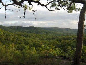 Cooktown Aboriginal Art Tours - Accommodation Yamba 1
