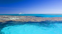 Reef Jet Cruises - Accommodation Yamba 0