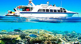 Reef Jet Cruises - Accommodation Yamba 2
