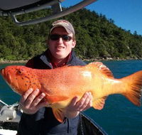 Gone Fishing by Coral Sea Fishing Charters Airlie Beach - Accommodation Yamba
