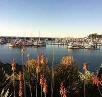 Mantaray Charters - Accommodation Yamba