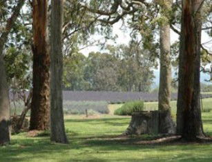 Cannon Creek QLD Accommodation Yamba