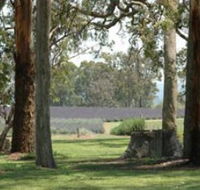 Aloomba Lavender - Accommodation Yamba