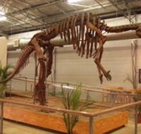 Australia's Dinosaur Trail - Accommodation Yamba