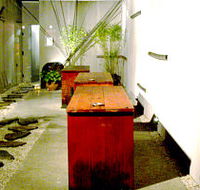 Koi - Accommodation Yamba