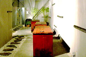 Koi - Accommodation Yamba 0