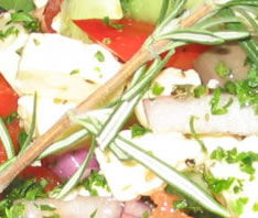 Casablanca Brasserie - Accommodation Yamba 0