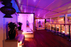 Circus Bar  Night Club - Accommodation Yamba