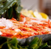 Food Fantasy - Accommodation Yamba