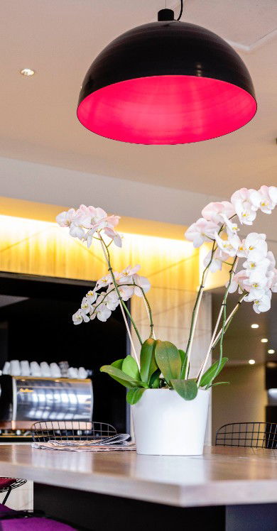 MRepublic Restaurant, Bar And Lounge - Accommodation Yamba 4