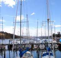 Oyster Cove Inn - Accommodation Yamba