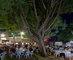 Premier Hotel - Accommodation Yamba 2