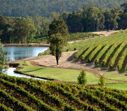 Brookhampton Estate Vineyard - Accommodation Yamba 0