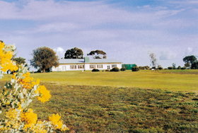 Lucindale SA Accommodation Yamba