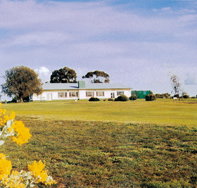 Lucindale Country Club - Accommodation Yamba