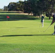 Waikerie Golf Club - Accommodation Yamba