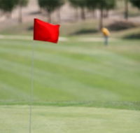 Gold Creek Country Club - Accommodation Yamba