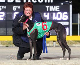 Bulli Greyhound Racing Club - Accommodation Yamba 0