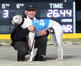 Bulli Greyhound Racing Club - Accommodation Yamba 2