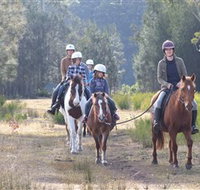 Horse Riding at Oaks Ranch and Country Club - Accommodation Yamba