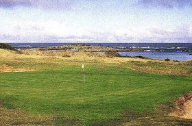 King Island TAS Accommodation Yamba