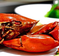 Newquay International Buffet - Accommodation Yamba