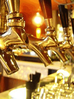 Georgica NSW Accommodation Yamba