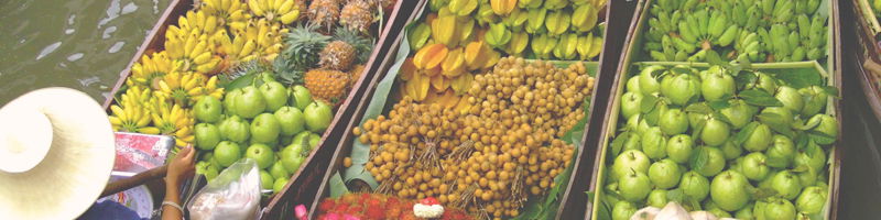 Green Point NSW Accommodation Yamba