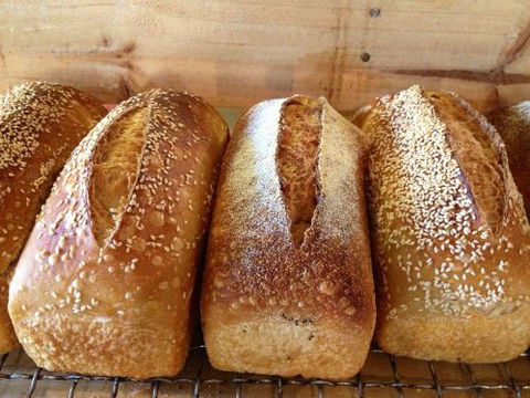 Blackbird Artisan Bakery - Accommodation Yamba 0