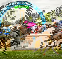 Bathurst Cup - Accommodation Yamba