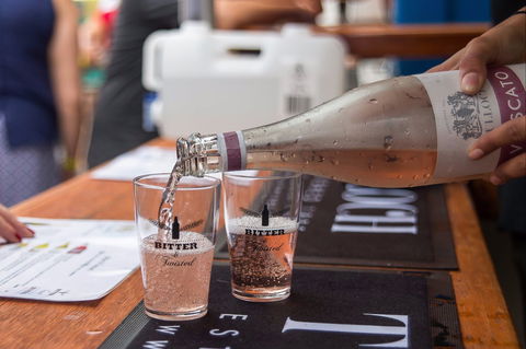 Bitter And Twisted Boutique Beer Festival - Accommodation Yamba 2