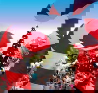 Blacktown Christmas Light Up Concert - Accommodation Yamba