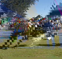 Casino Golf Club Markets - Accommodation Yamba