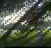 Celebration Outing Special - Accommodation Yamba