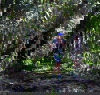 Elephant Trail Race - Accommodation Yamba