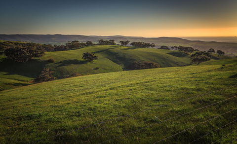 Festival Of Nature - Accommodation Yamba 1