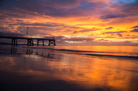 Festival Of Nature - Accommodation Yamba 2