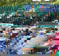 Festival in the Park - Accommodation Yamba