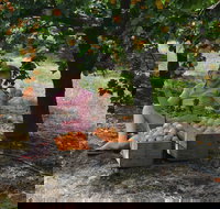 Fruit Bottling Sessions at Rayner's Orchard - Accommodation Yamba