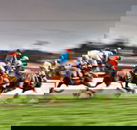 Grafton July Racing Carnival - Accommodation Yamba