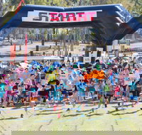 Ipswich Hospital Foundation Virtual Park2Park - Accommodation Yamba