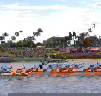 Jacaranda Dragon Boat Races - Accommodation Yamba