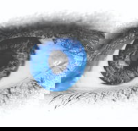 Joe Orton's What the Butler Saw - Accommodation Yamba