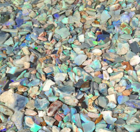 Lightning Ridge Opal Festival - Accommodation Yamba 1