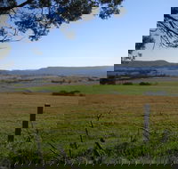 Milton Village Showground Markets - Accommodation Yamba
