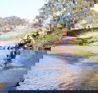 Mountain Man Tri Challenge - Accommodation Yamba