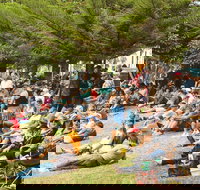 Music in the Park - Accommodation Yamba