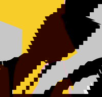 Naked Classics Fantastic Symphonies - Accommodation Yamba